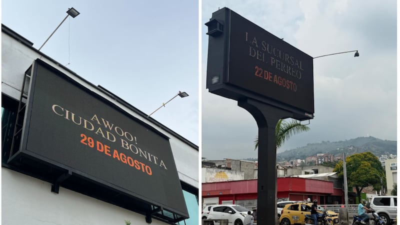 Posibles conciertos de Ryan Castro en Cali y Bucaramanga