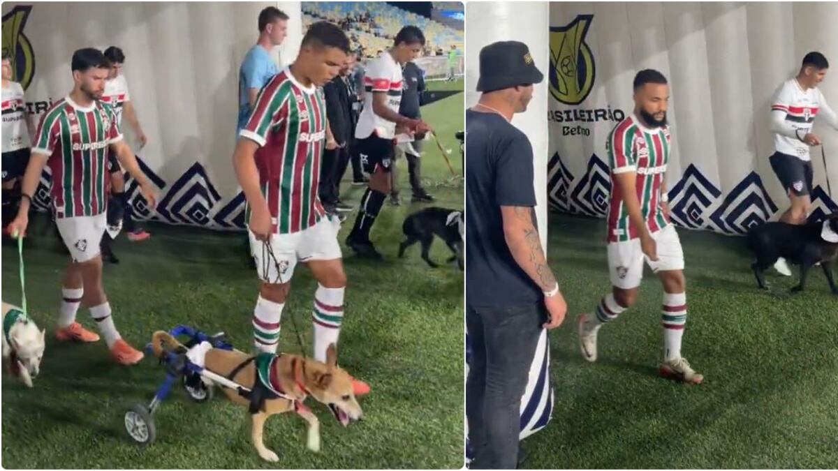 Jugadores salieron a la cancha con perritos para adoptar y a uno le tocó el perro invisible