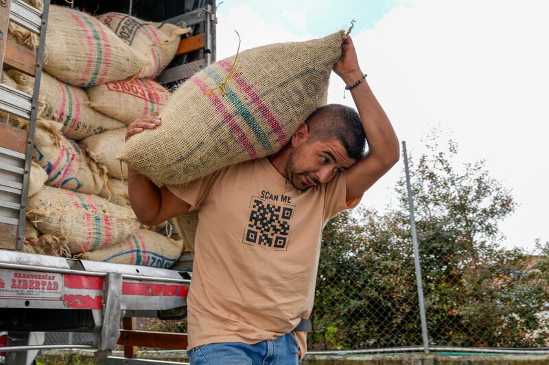 Chocolate Colombia procesa el grano de cacao