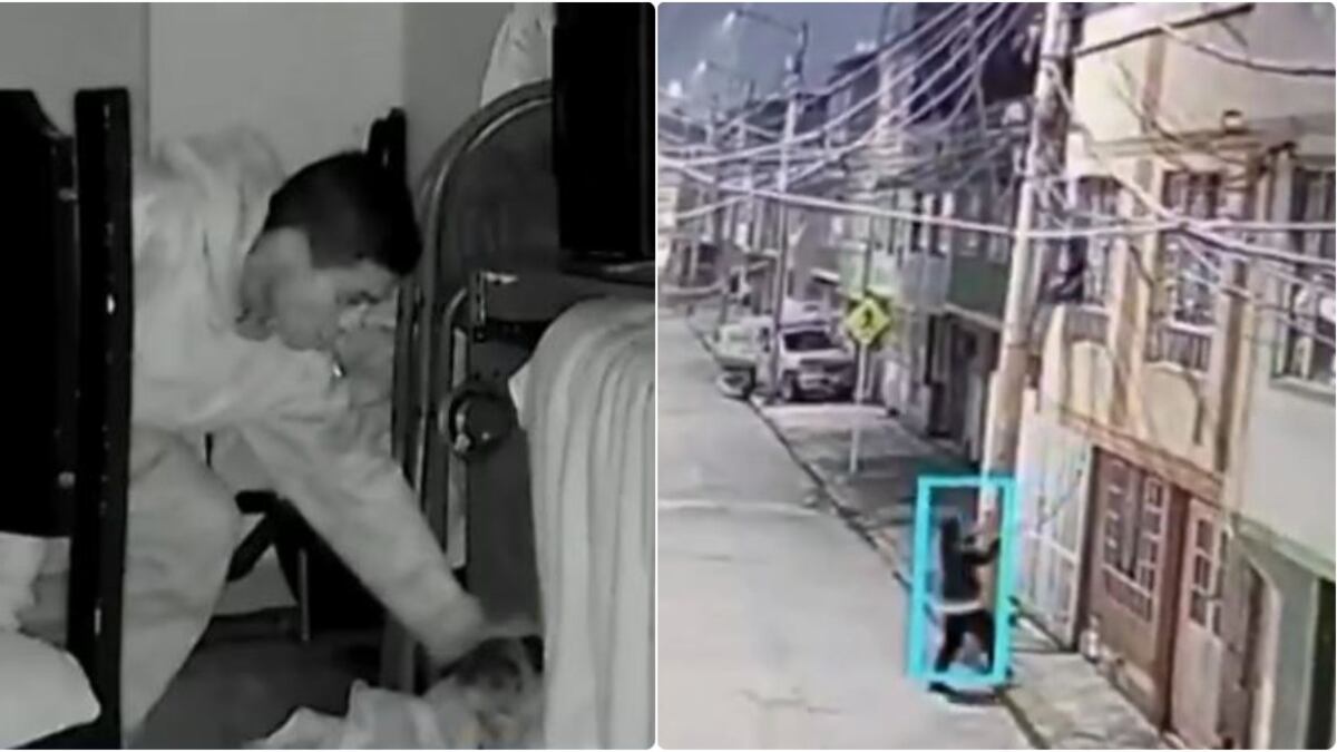 Hasta la mascota fue robada por los ladrones que se metieron a una casa en Bogotá