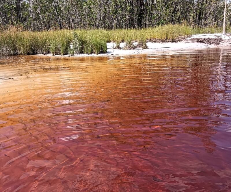 Aguas rojizas de Caño San Joaquín en Inírida, Guainía
