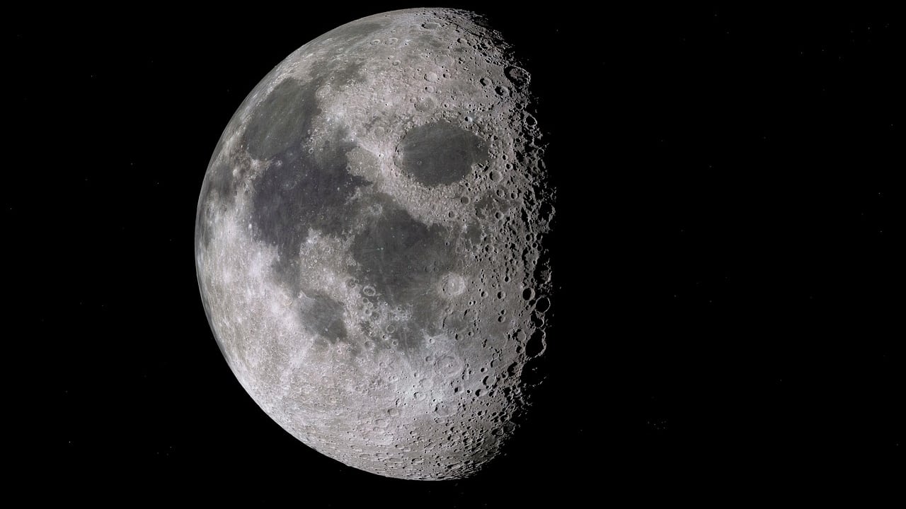 (Foto: Redes sociales)