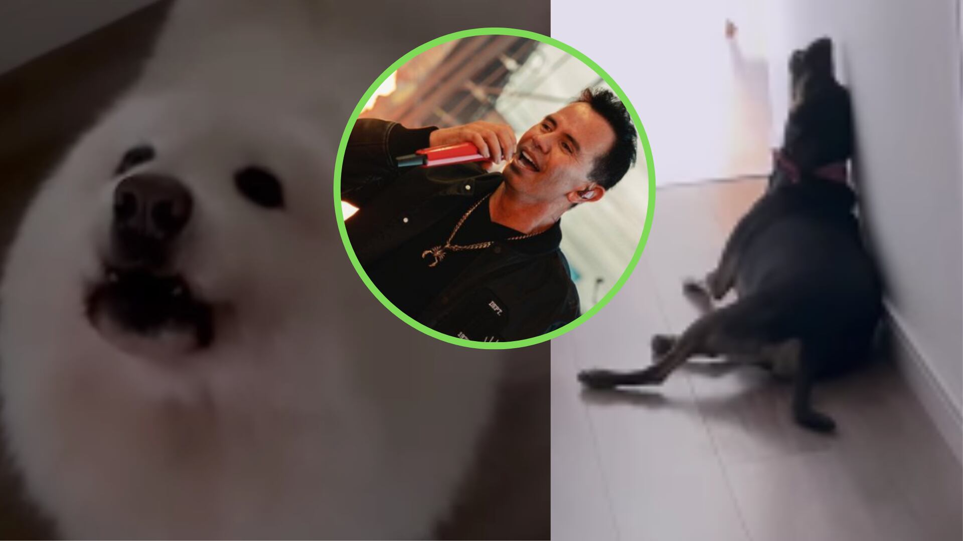 Jhonny Rivera dio a conocer que sus perros tienen su mismo talento