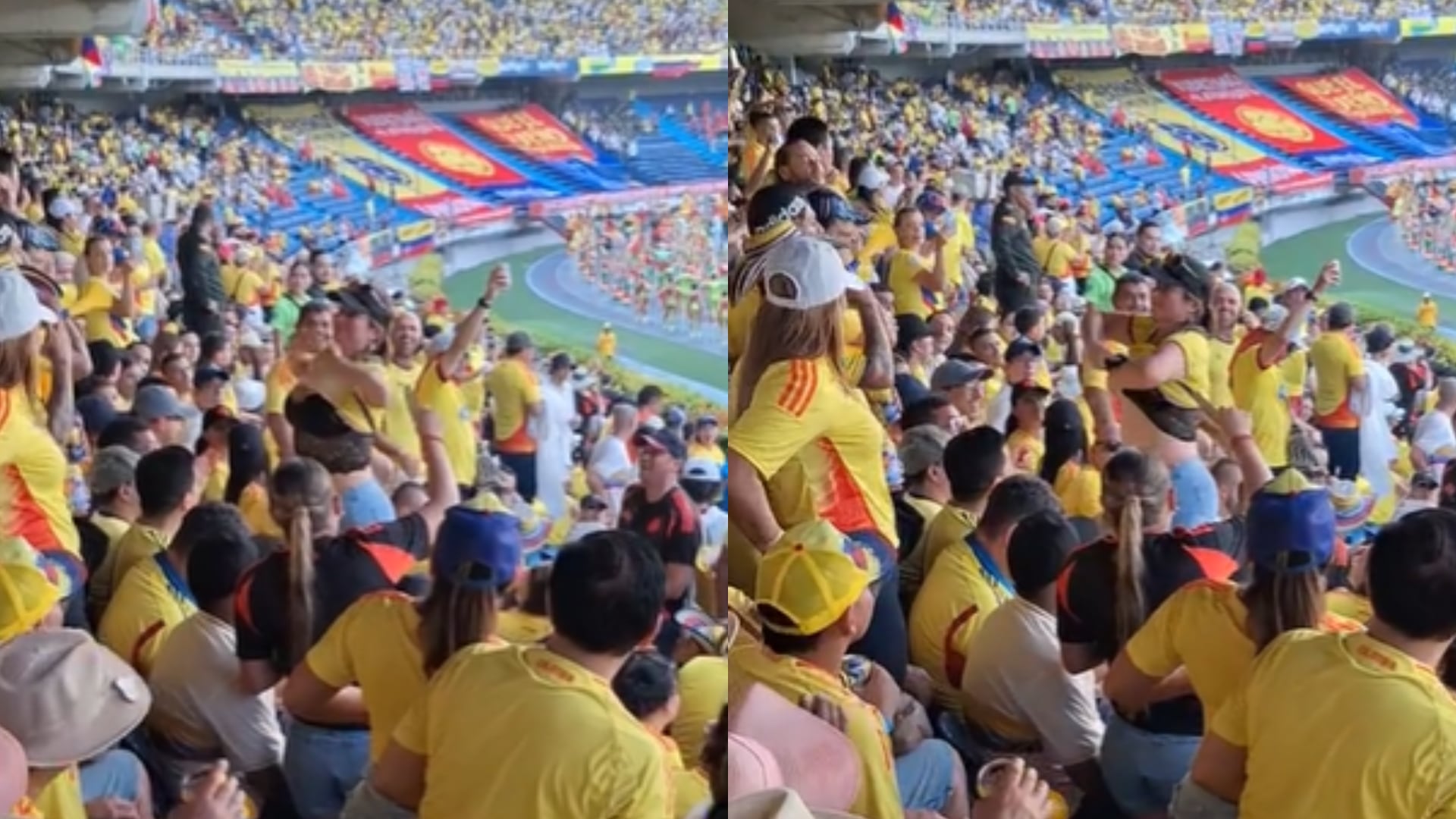 Mujer se levantó la camiseta en el partido de Colombia