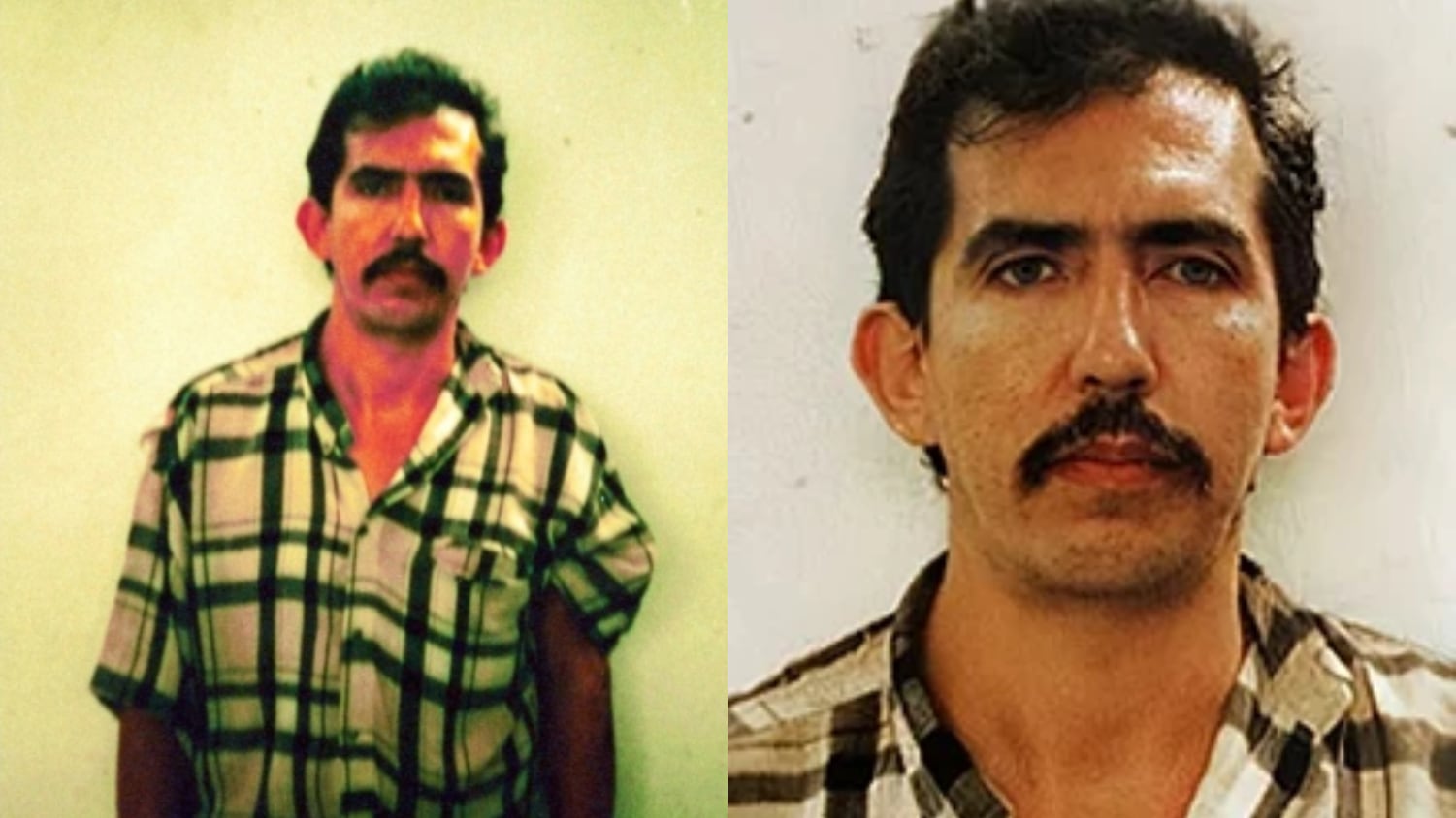 Luis Alfredo Garavito