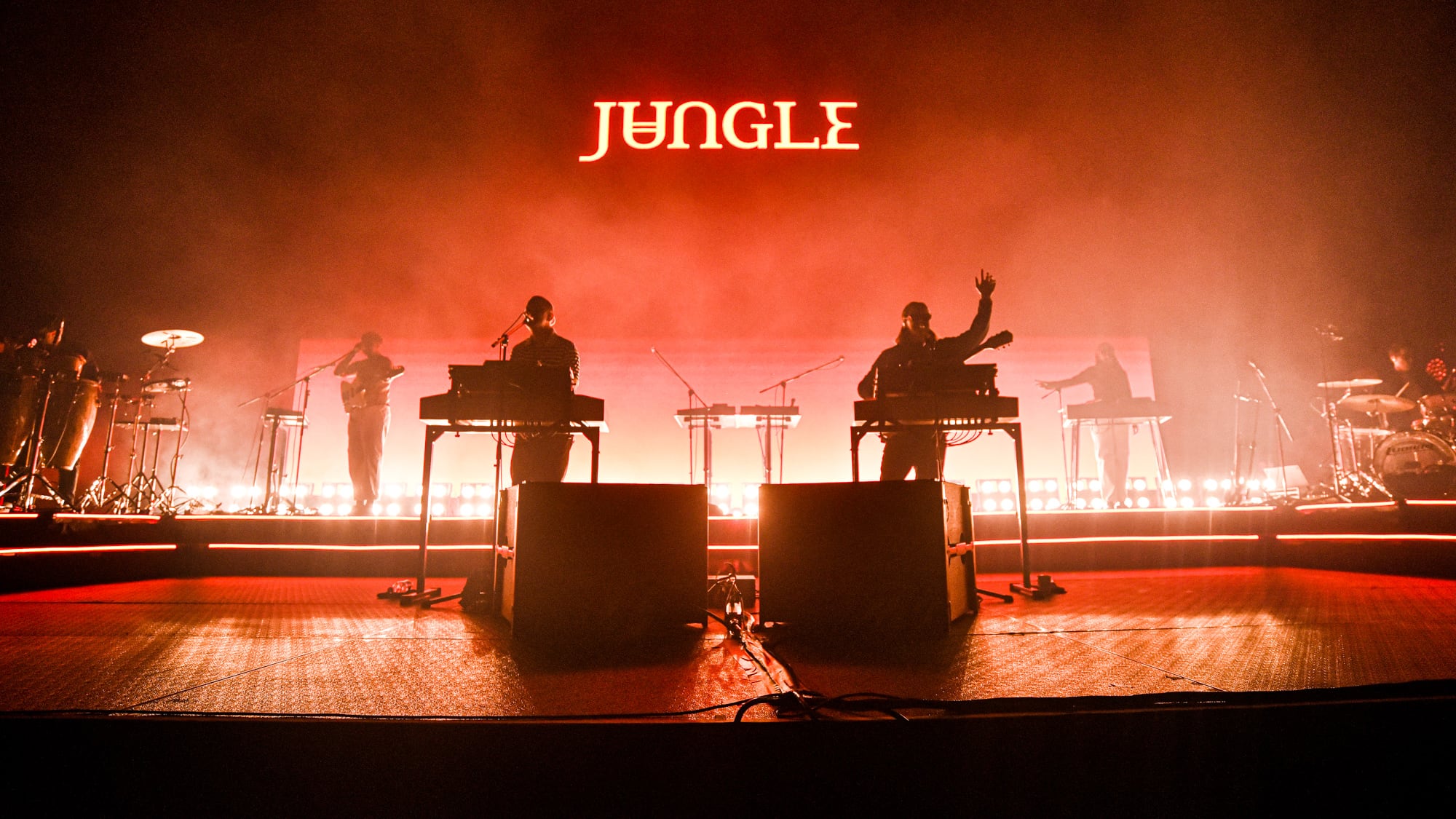 Jungle