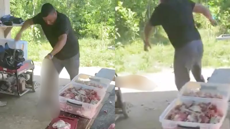 ¡Por fin se entregó! Hombre que mató a perrito a golpes ya está en manos de las autoridades