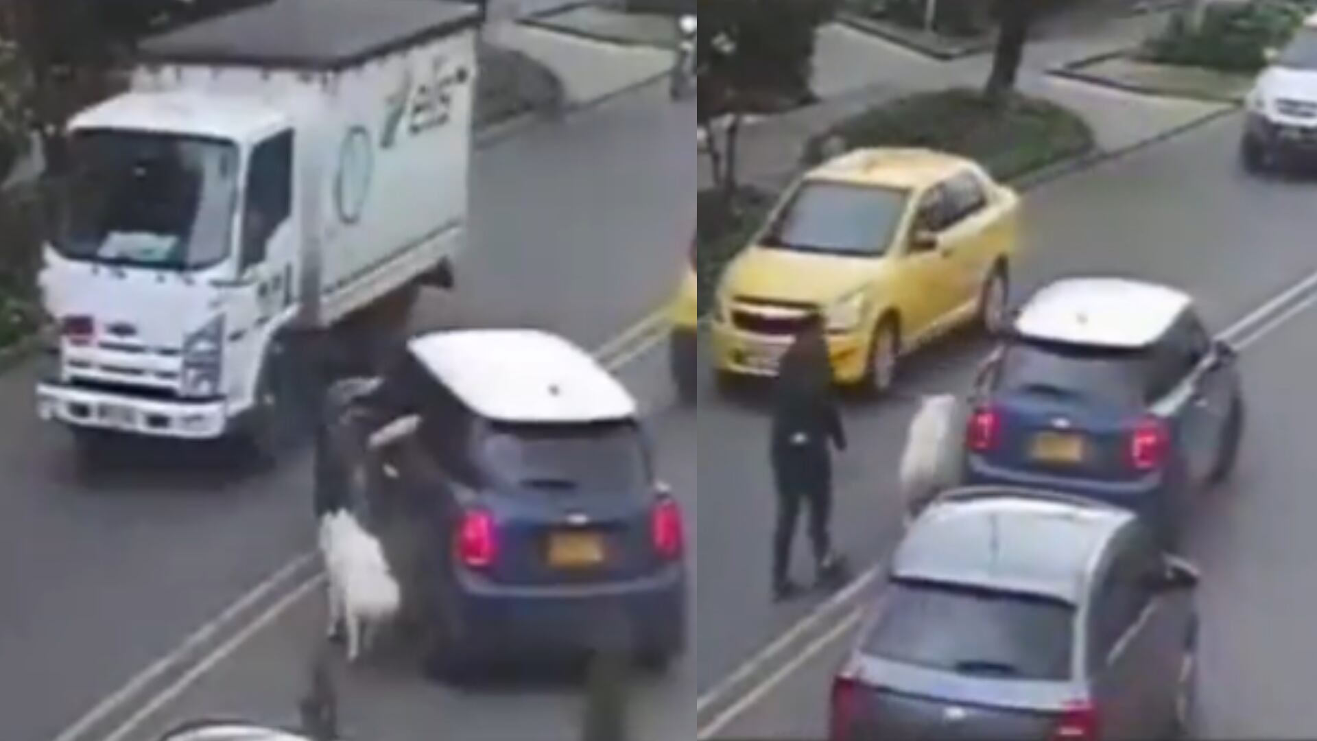 Conductor que arrastró a perro en concurrida vía ya tiene denuncias por mala tenencia de su mascota