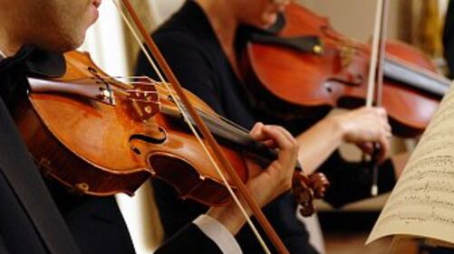 Artistas y gestores culturales podrían tener un ingreso vitalicio después de cumplir su edad de pensión