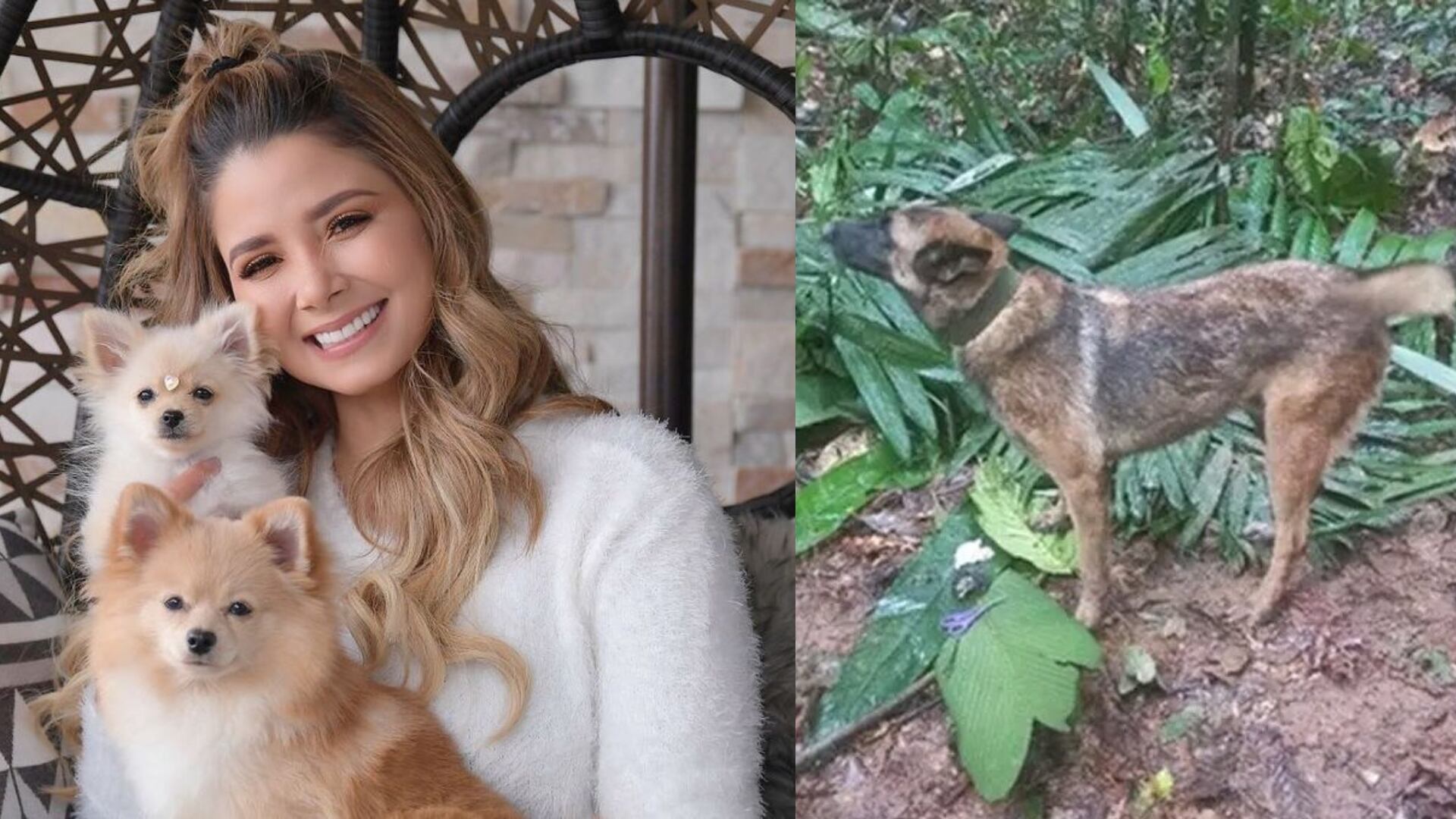 Melissa Martínez usó a sus mascotas para enviarle un mensaje al perro Wilson