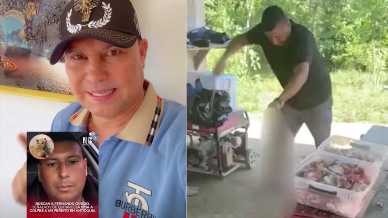 Giovanny Ayala ofreció millonaria recompensa para dar con el hombre que mató a perro en Sonsón, Antioquia