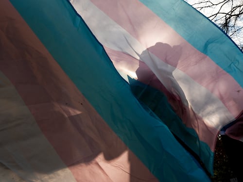 Trabajo digno para la población trans: una deuda que ya no puede esperar