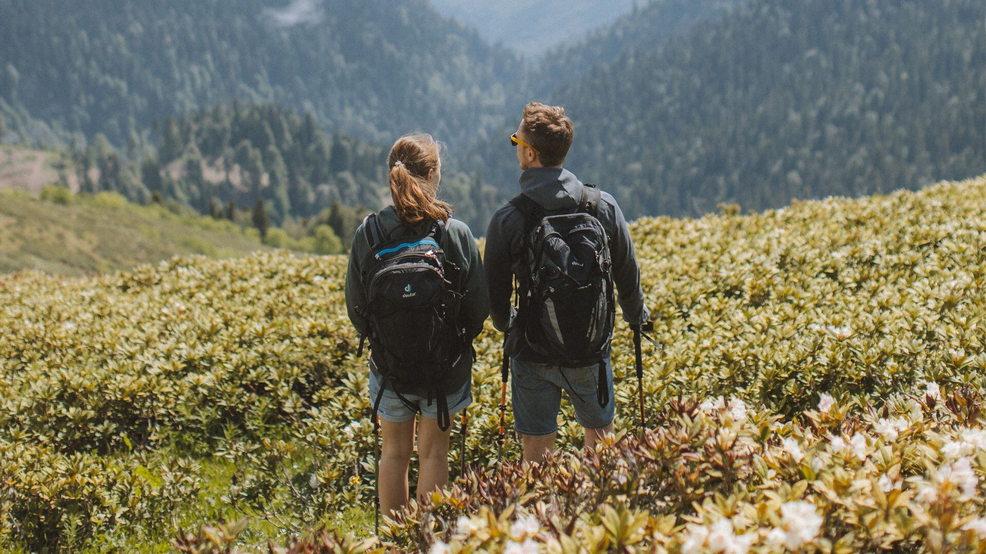 con un salario de más de 3.400 dólares mensuales