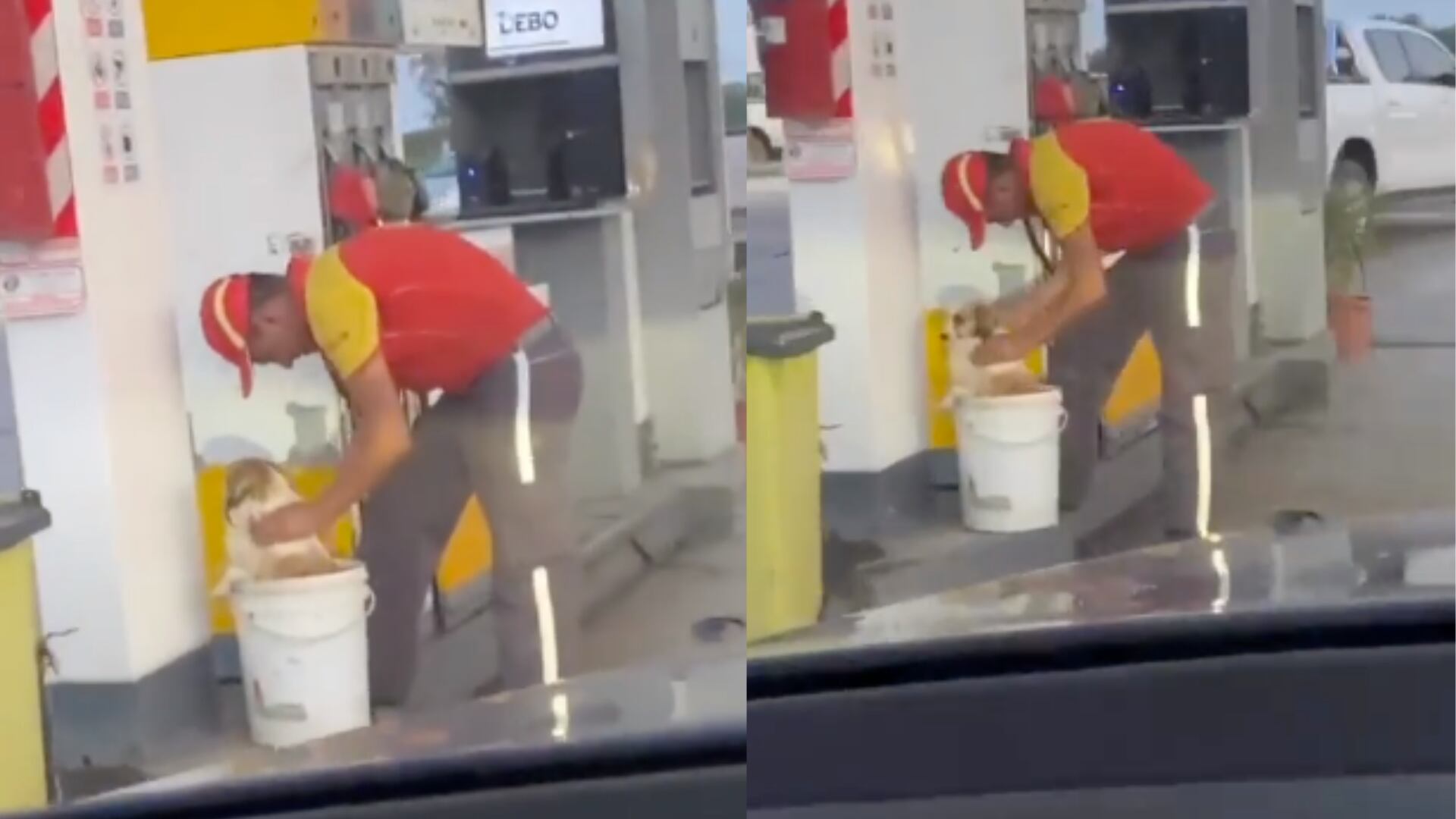 Twitter: @canichones