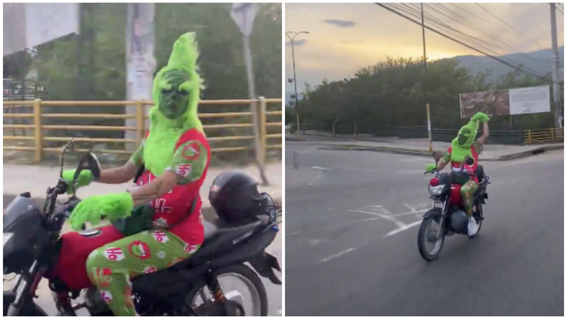 El premio a mejor espíritu navideño: se disfrazó de “El Grinch” en Bucaramanga y su actitud la hizo viral (Redes sociales)