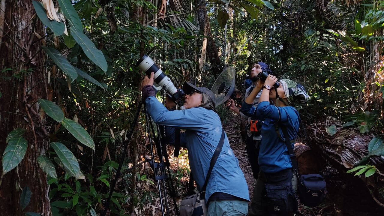 Biólogos y expertos durante la expedición que busca al periquito del Sinú en el departamento de Córdoba.