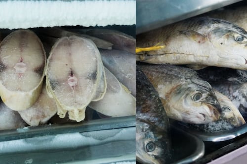 Ojo con el pescado que compra en Semana Santa: estas son las recomendaciones para evitar riesgos