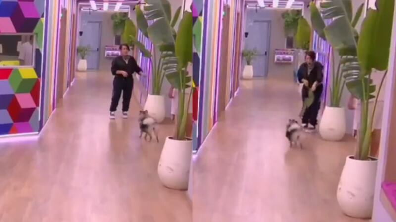 Italy quería morder a Yina Calderón