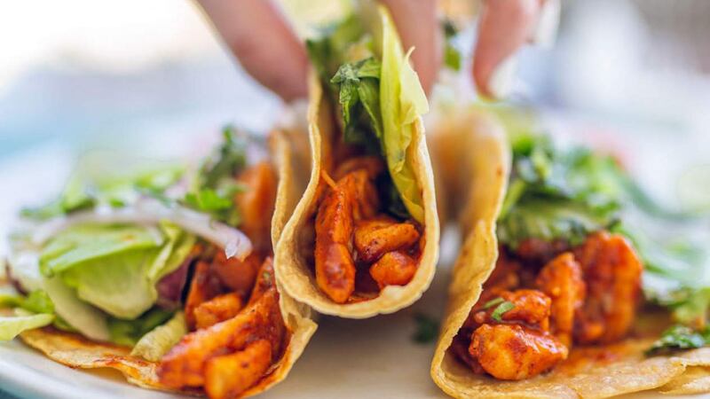 Debido a su vasto e impresionante paisaje marino, la región es conocida como ‘El Acuario del Mundo’, ya que alberga una abundante vida marina de más de 20 mil especies y es considerada uno de los mejores destinos del mundo para el buceo y el snorkel. Foto: Turismo La Paz.