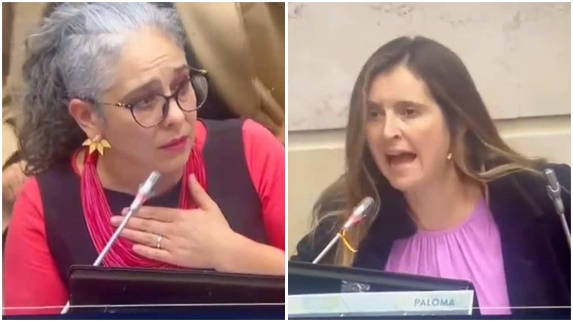 “Yo tampoco soy pendeja”: Paloma Valencia y María José Pizarro protagonizan nuevo ‘agarrón’ en el Senado (Captura de pantalla debate de la Reforma Pensional en el Senado)