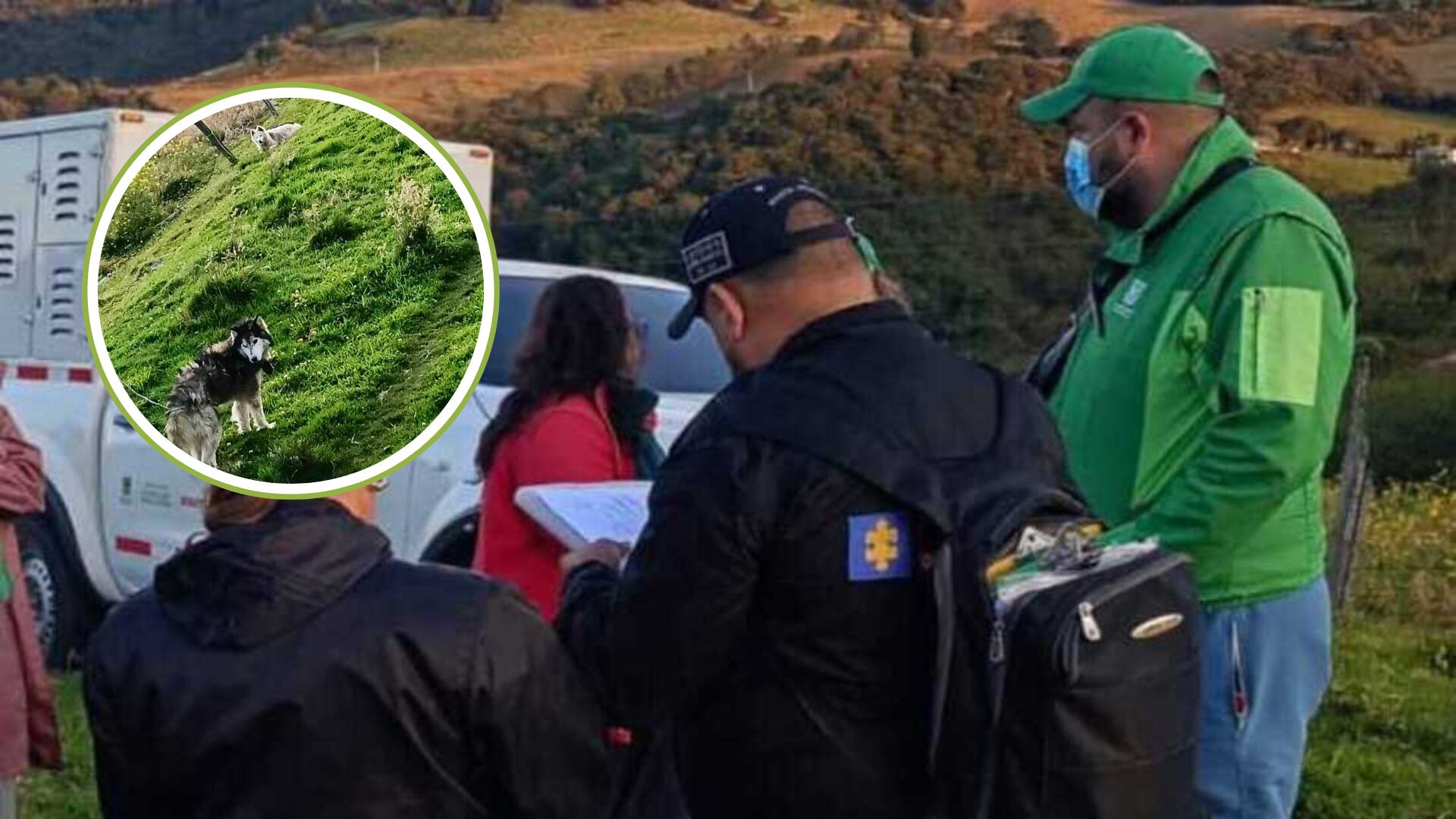 Rescatan tres perros de un criadero ilegal en Ciudad Bolívar: una denuncia ciudadana destapó el horror