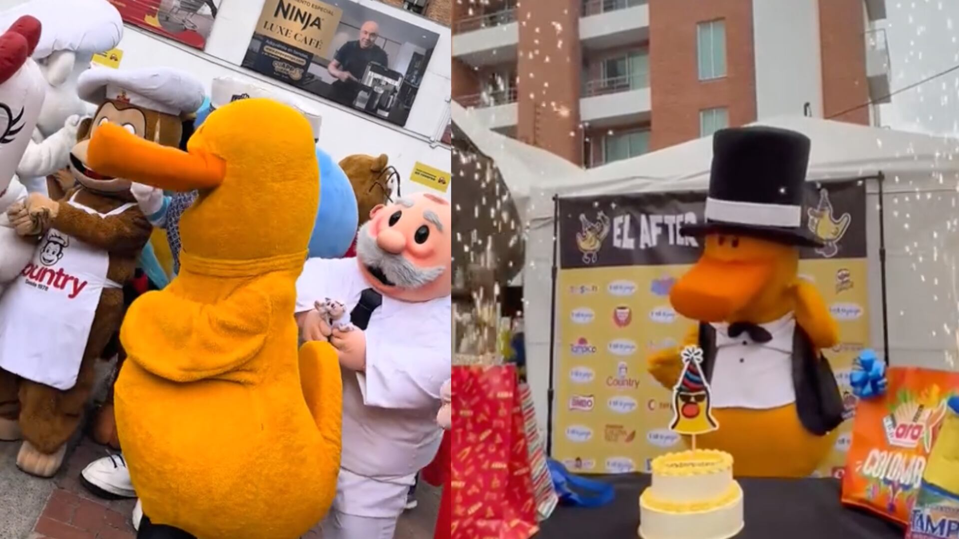 Fiesta de cumpleaños de Pepe Ganga