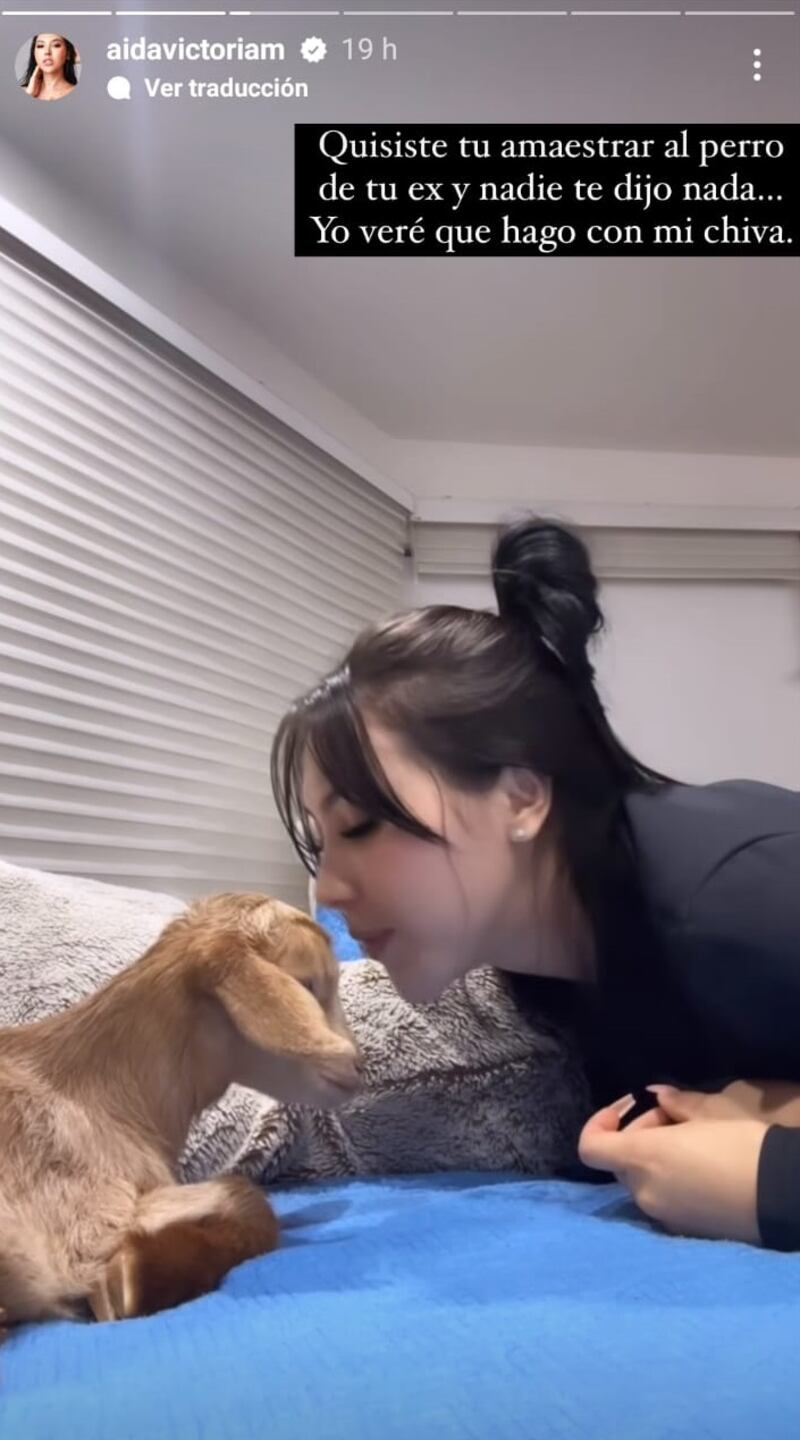 Le regalaron un chivo a Aida Merlano.