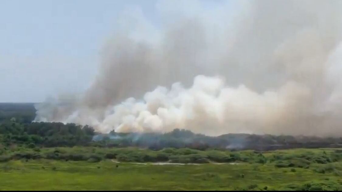 Fuerza Aérea se suma al apoyo para extinción del incendio en Isla Salamanca.