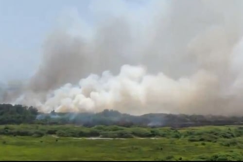Grave incendio forestal en el parque Isla Salamanca afecta la calidad del aire en Barranquilla