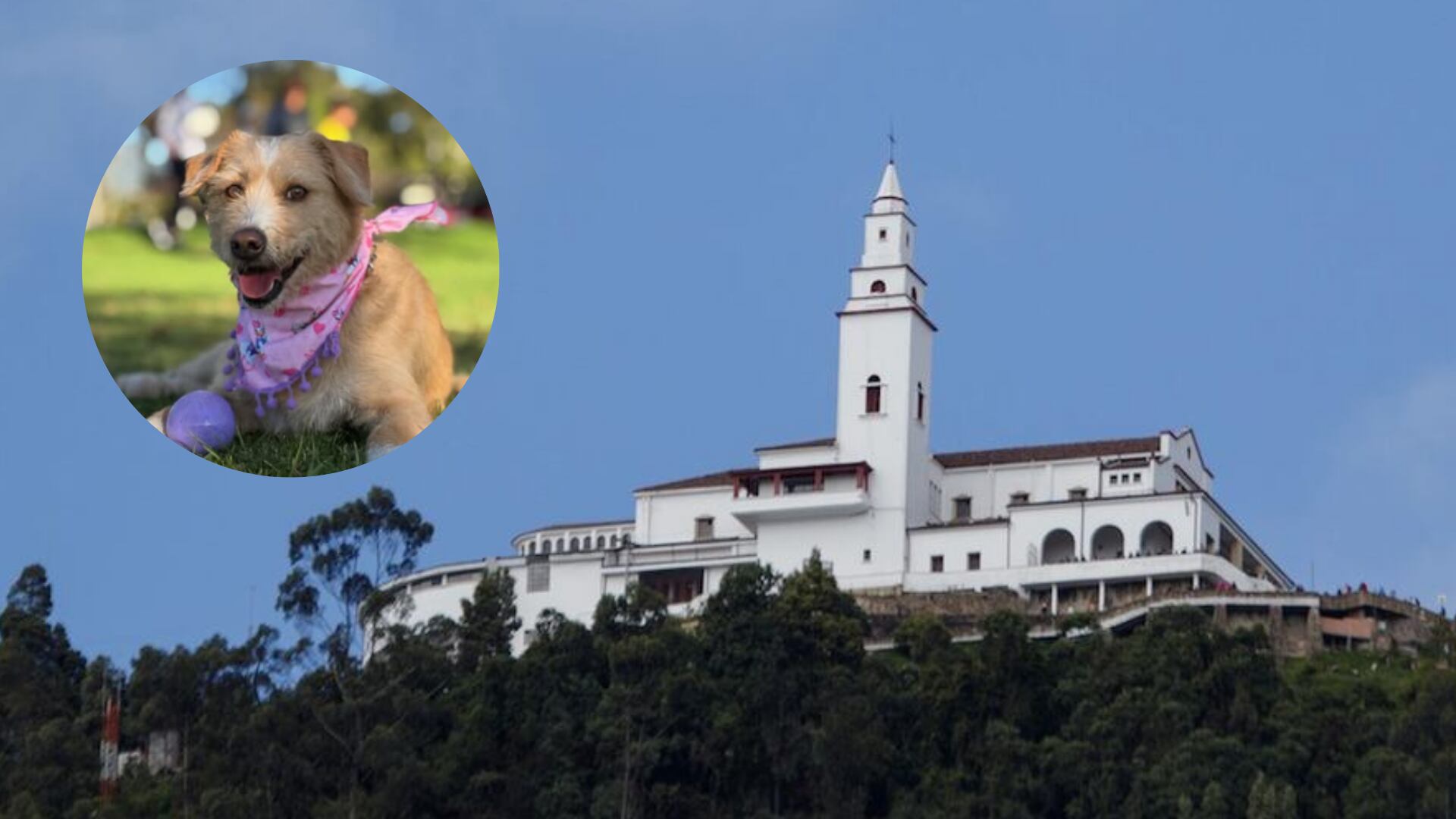 Monserrate en Semana Santa: recomendaciones para estar con su mascota