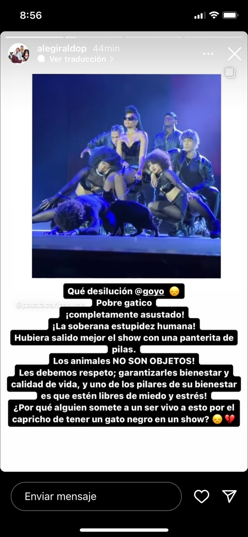 Alejandra Giraldo criticó a Goyo por llevar un gato a su presentación