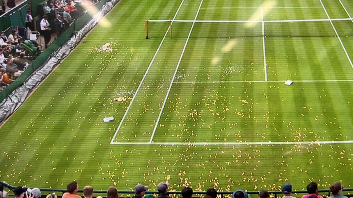 Wimbledon: manifestantes saltaron al césped e interrumpieron todo