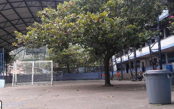 Tragedia: Adolescente de 14 años murió después de desmayarse en una clase de Educación Física