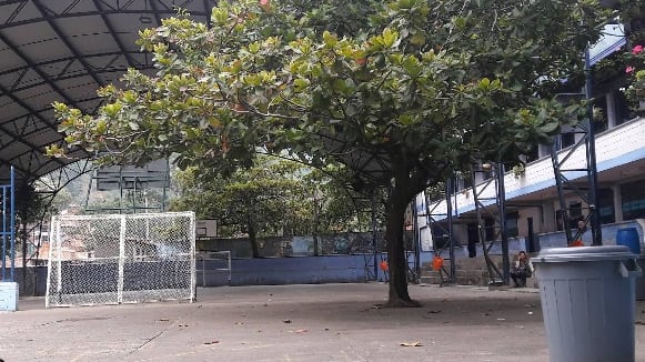 Muerte de adolescente en el colegio