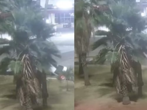 En video: menor sacó sin permiso carro de la familia y lo estrelló aparatosamente en una rotonda