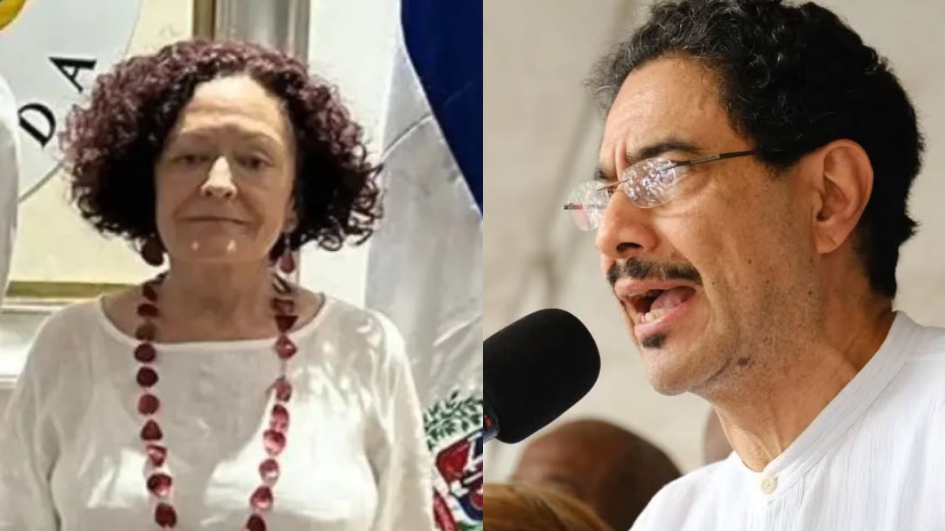 Suspenden a embajadora de Haití por presunta participación en política.