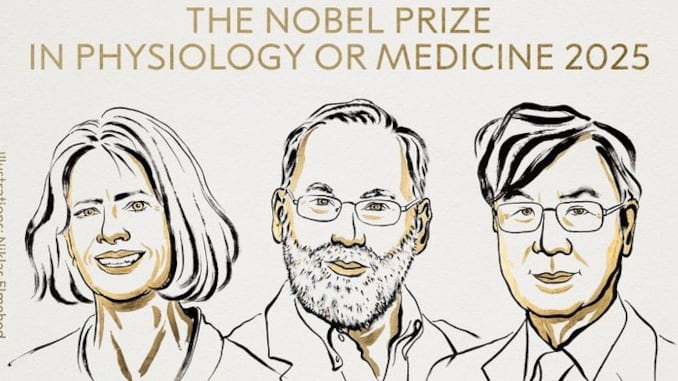 Foto Premio Nobel de Medicina 2025 reconoce estudios clave sobre cómo el cuerpo evita atacarse a sí mismo.