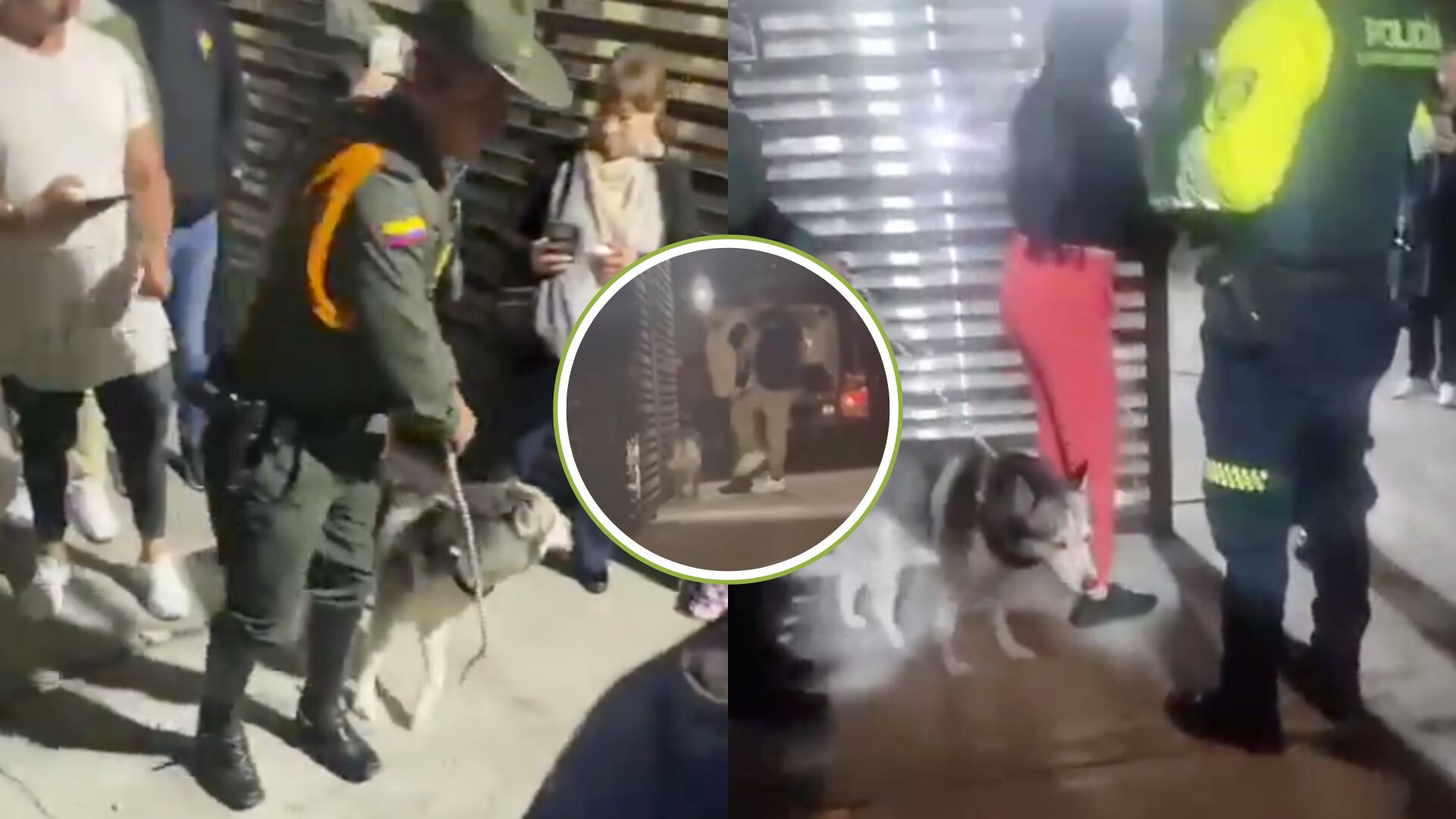 Nuevo caso de presunto maltrato animal: vecinos protestaron y la Policía rescató al perro