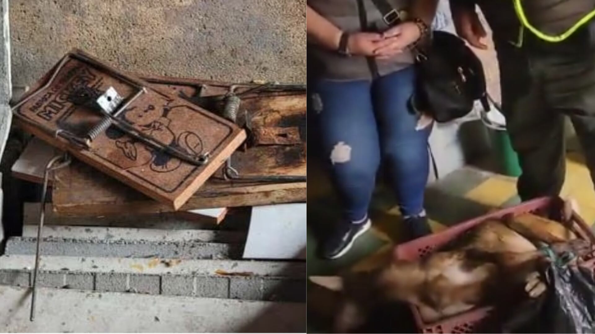 26 de febrero de 2023