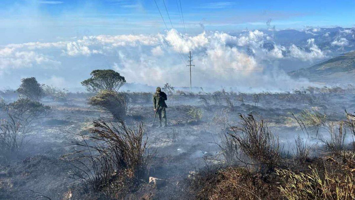 ¿Buscando ser voluntario para restaurar páramos por incendios? MinAmbiente advirtió por qué no es momento de hacerlo