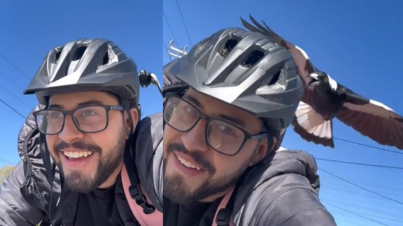 En el video viral se logra ver como el ave ataca en reiteradas oportunidades al joven colombiano.