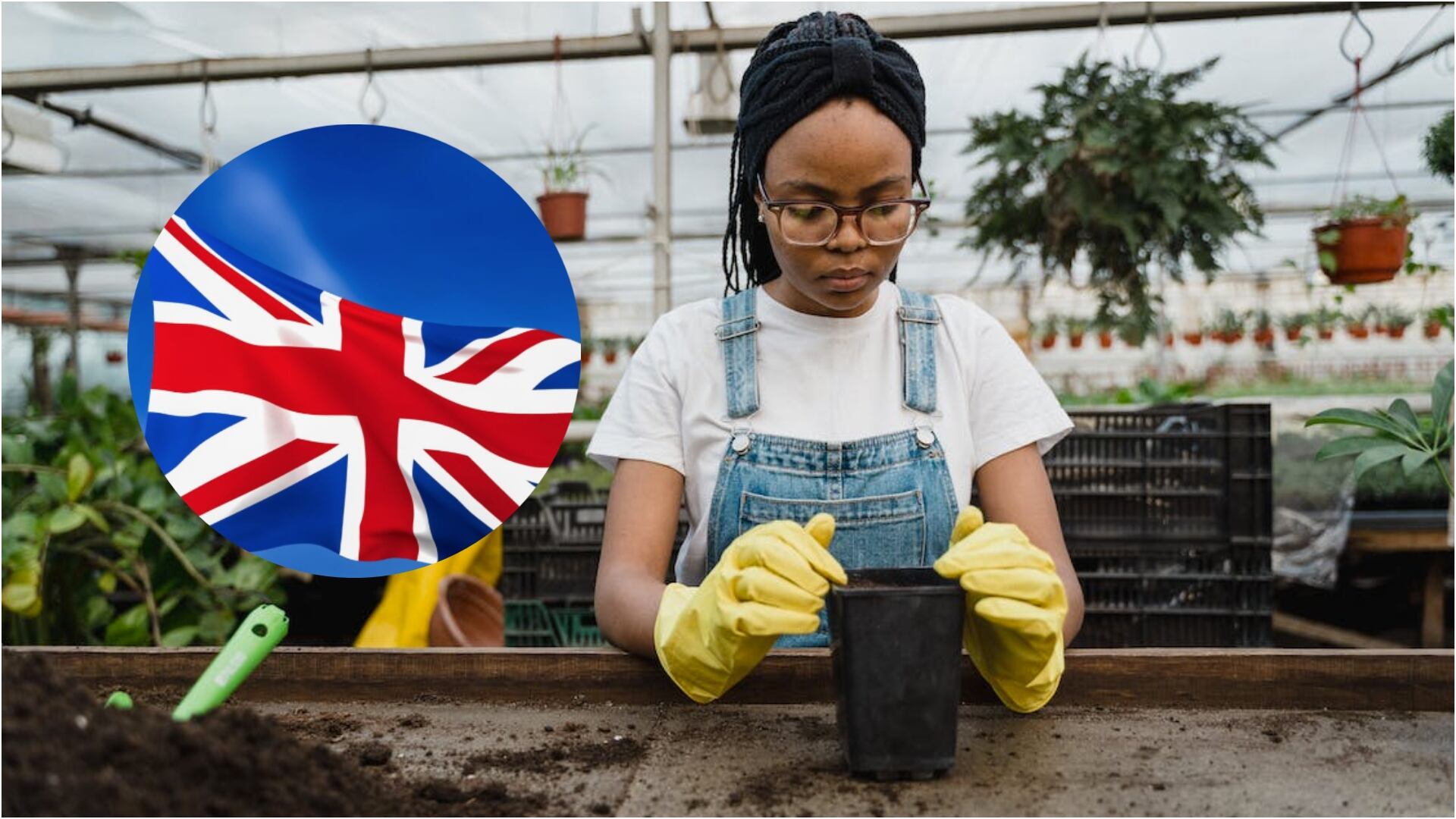 ¡Trabajo sí hay! Embajador Británico en Colombia está buscando practicante para cuidar el jardín, ¿cuánto pagan? (Pexels)