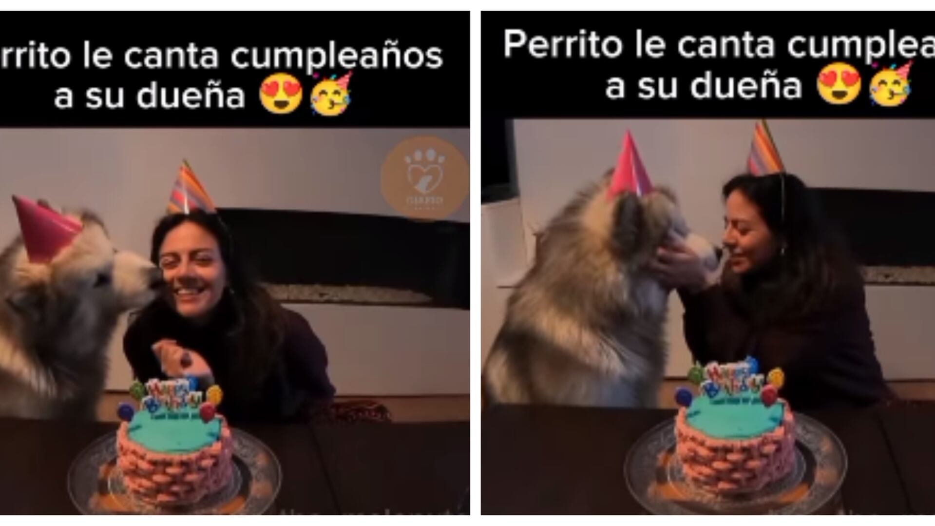 Perrito canta el cumpleaños feliz a su dueña (redes sociales)