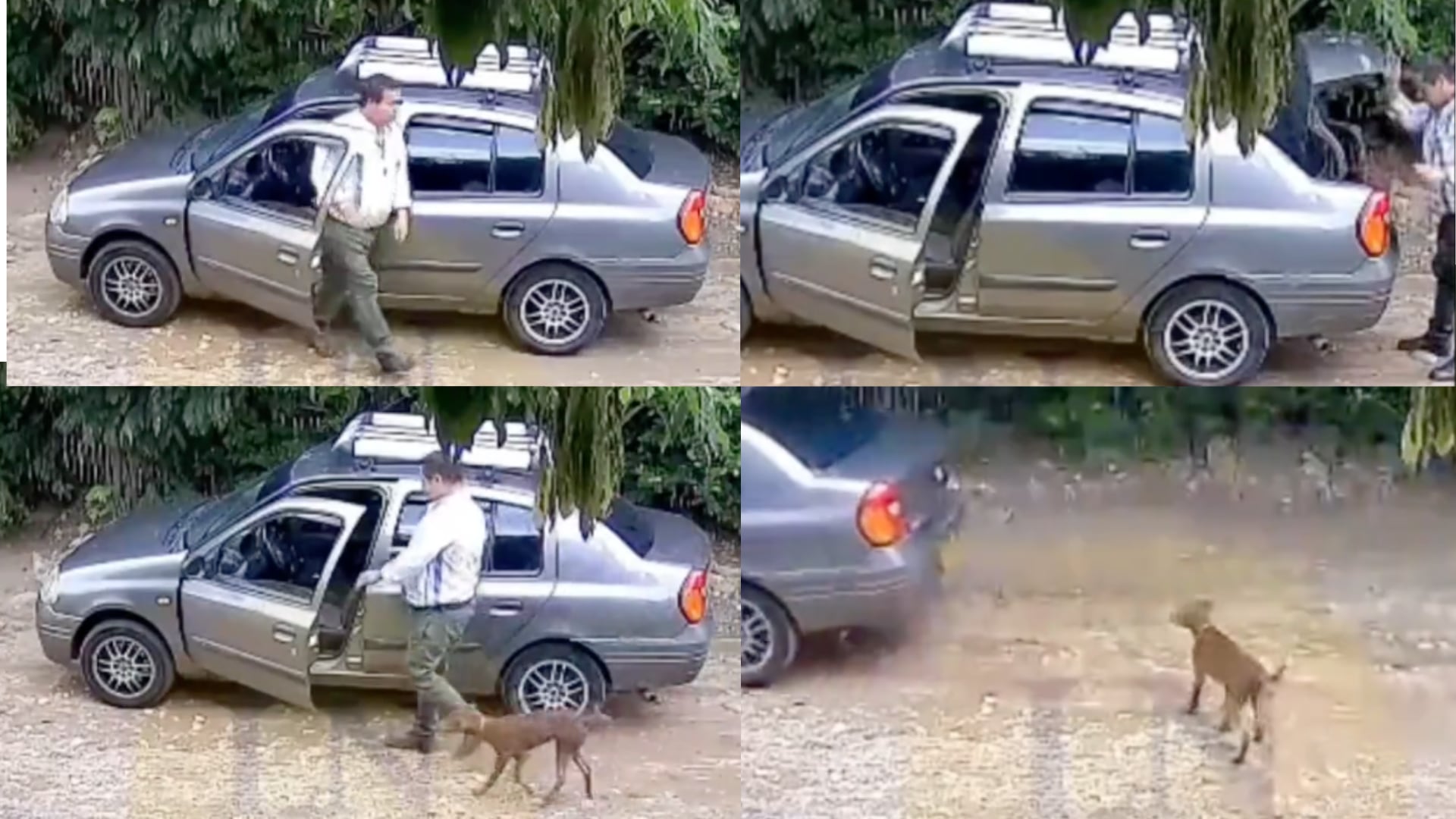 Hombre abandonó su mascota en el Huila