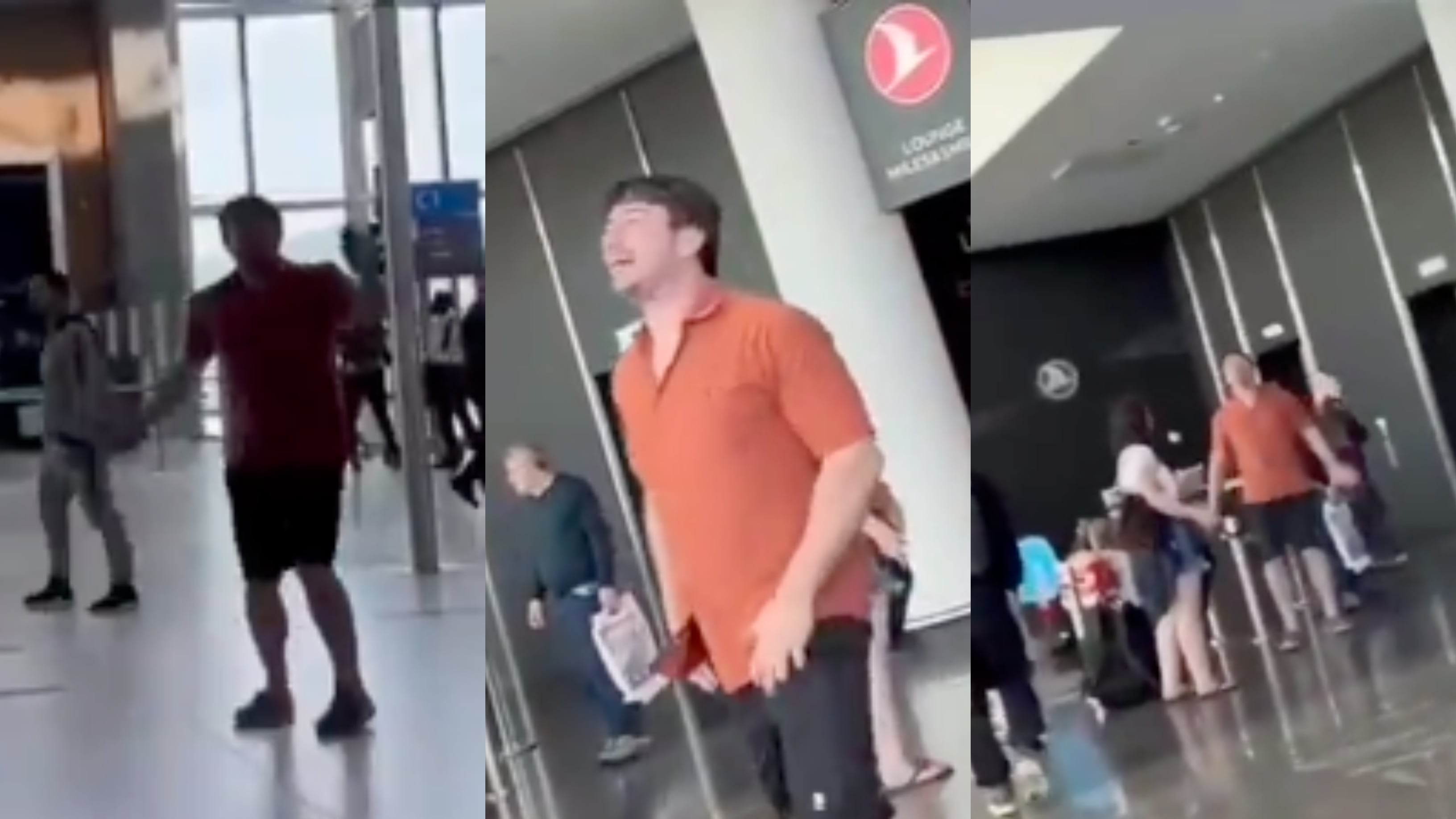 Hombre enloqueció porque la aerolínea perdió a sus cuatro perros