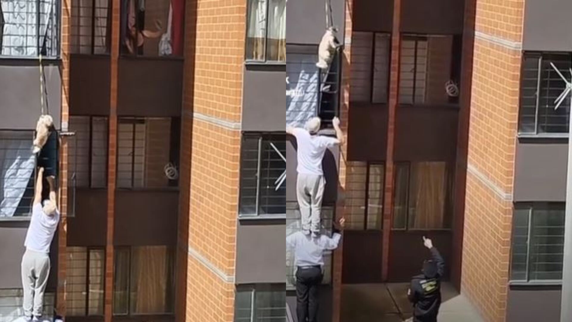 Perrito quedó colgando y lo rescataron con peligrosa maniobra