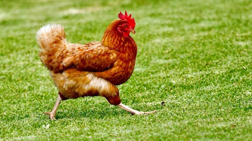 Un regalo tan creativo como inusual