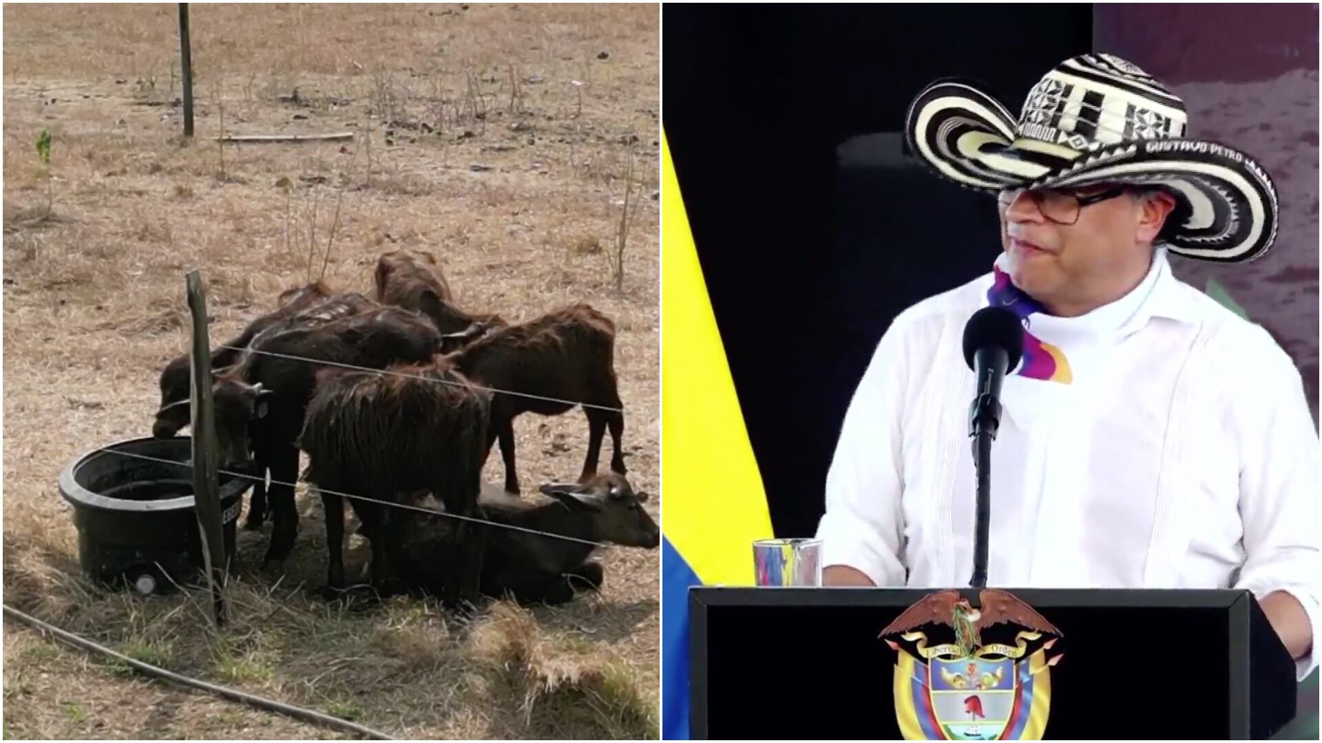 Gustavo Petro entrega finca Simba a campesino e indígenas