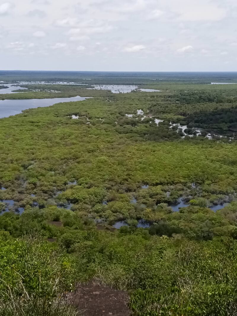 Selva de Matavén, Vichada.