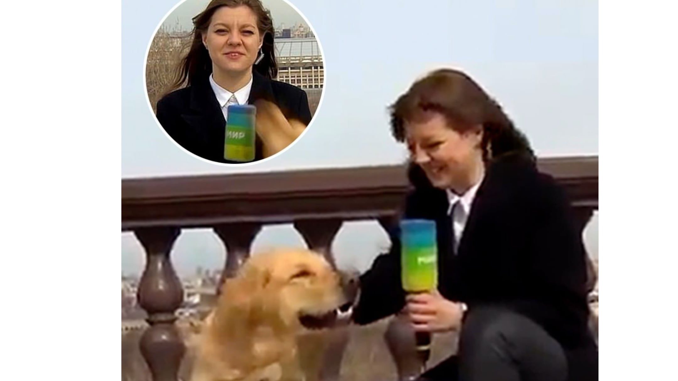Presentadora de televisión se queda sin micrófono en vivo cuando un perro se lo quita